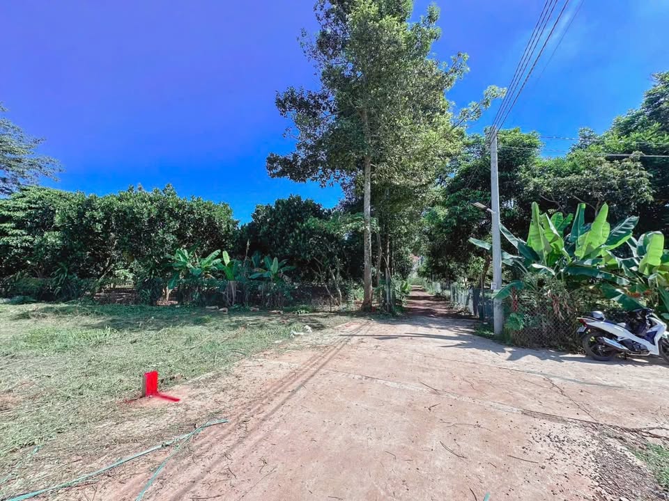 Đất nền Bình Lộc Long Khánh 222m² giá 1.5 tỷ - Sổ đỏ chính chủ!