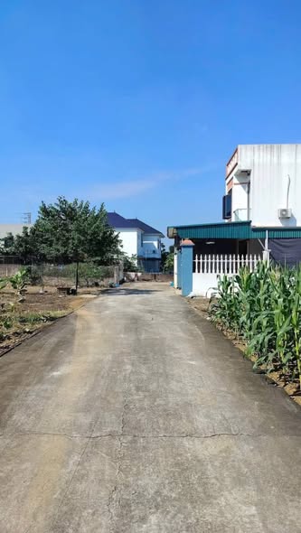 Lô đất Tân An - Thụy An - Ba Vì 130m² giá 1 tỷ - Tiềm năng tăng giá cao!