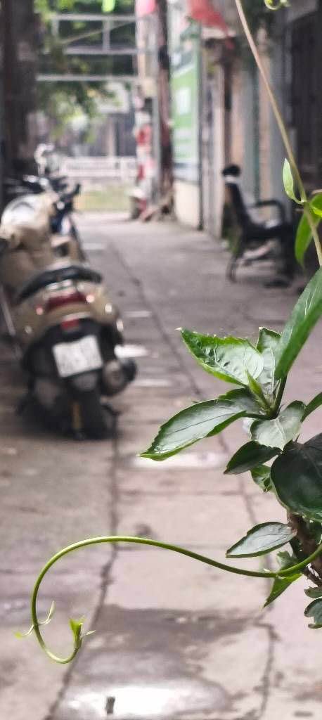 Nhà 2 tầng Kim Giang, Thanh Xuân 40m² giá 6 tỷ - Cơ hội hiếm có!