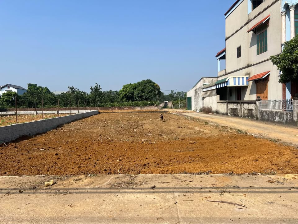 Đất Lô Góc 286m² tại Quốc Oai - Thổ cư 100m² - Tiềm năng đầu tư lớn!