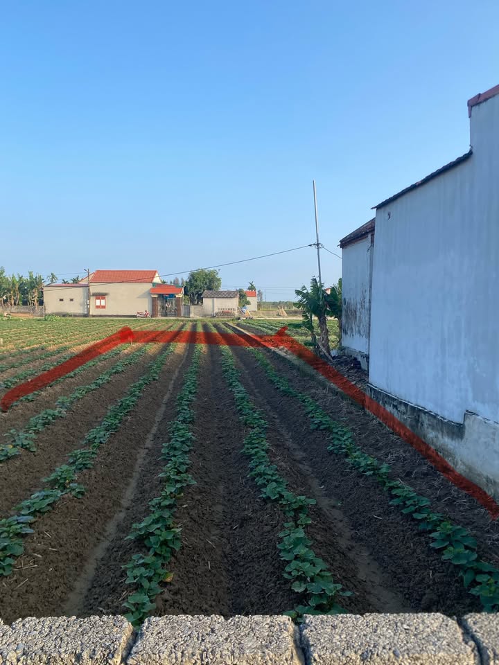 Đất nền Đa Lộc Thanh Hóa 142m² giá 790 triệu - Hướng Tây, sổ đỏ chính chủ!