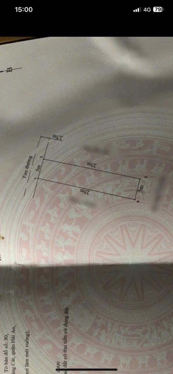 Đất nền Tràng Cát Hải Phòng 125m² giá 3.625 tỷ - Ô tô vào tận đất!