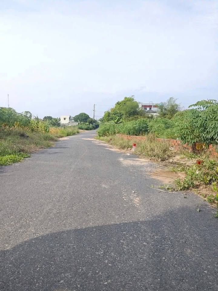 Đất nền Tam An 264m² giá 1.15 tỷ - Mặt tiền đường nhựa thuận lợi!