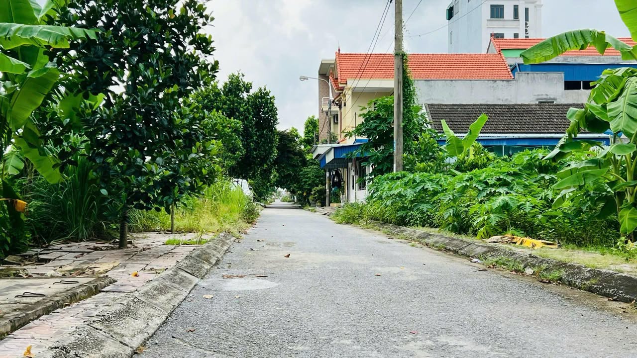 Đất nền Dương Quan Thủy Nguyên 81m² giá 3 tỷ - Đầu tư sinh lời ngay!