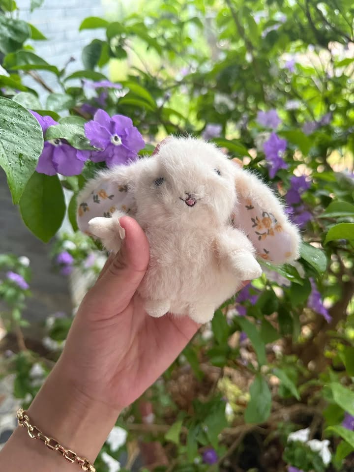 Đất mặt tiền Quốc lộ 26, M'Đrắk, 2145m² giá 21.45 tỷ - Đầu tư sinh lời ngay!