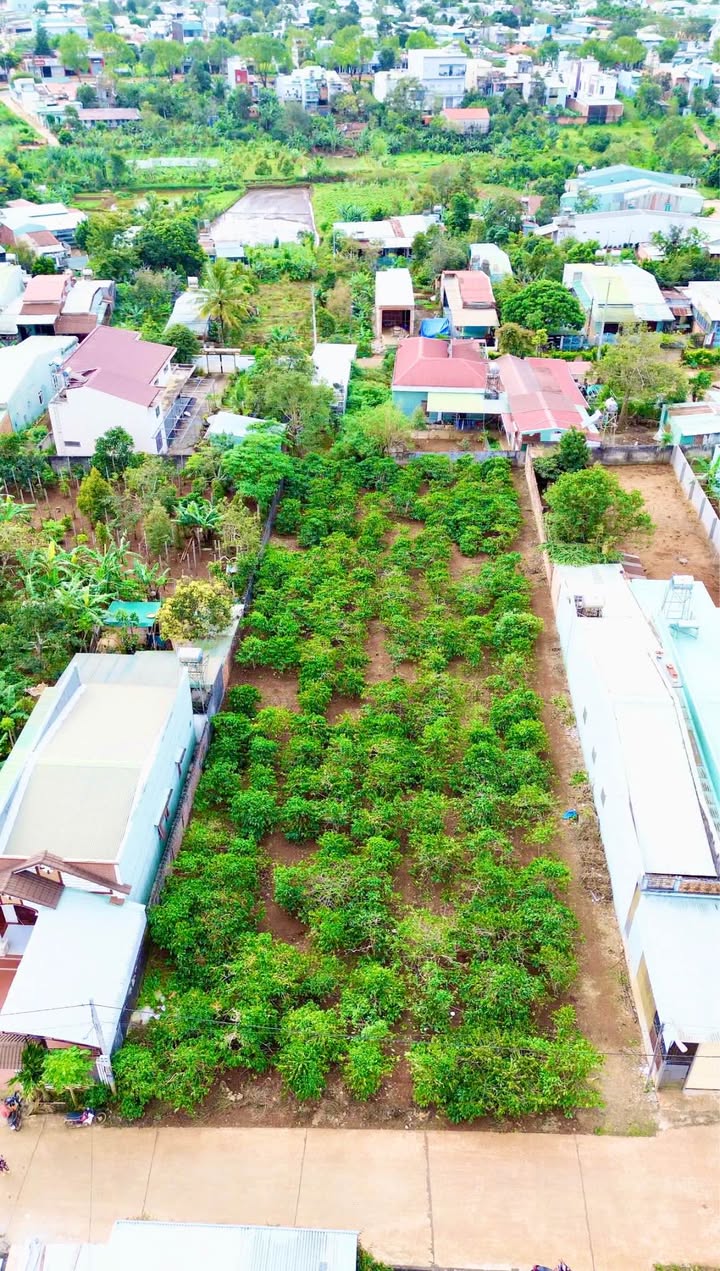 Lô đất 1.102m² mặt tiền 19m tại An Phú - Pháp lý rõ ràng, giá chỉ 3.6 tỷ!