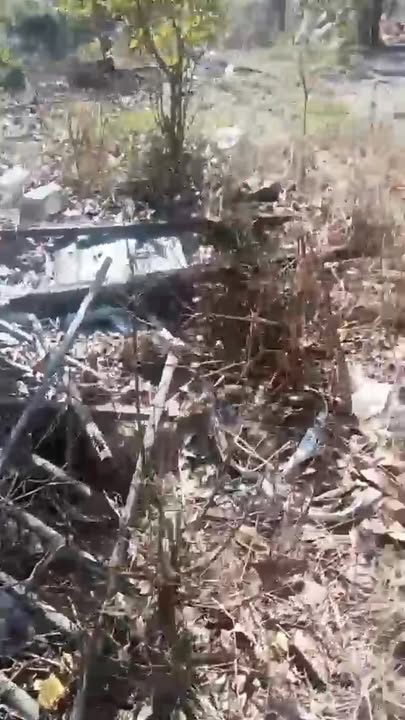 Đất nền xã Ia Le, Chư Pưh, Gia Lai 4ha giá 1.2 tỷ - Cơ hội đầu tư hấp dẫn!