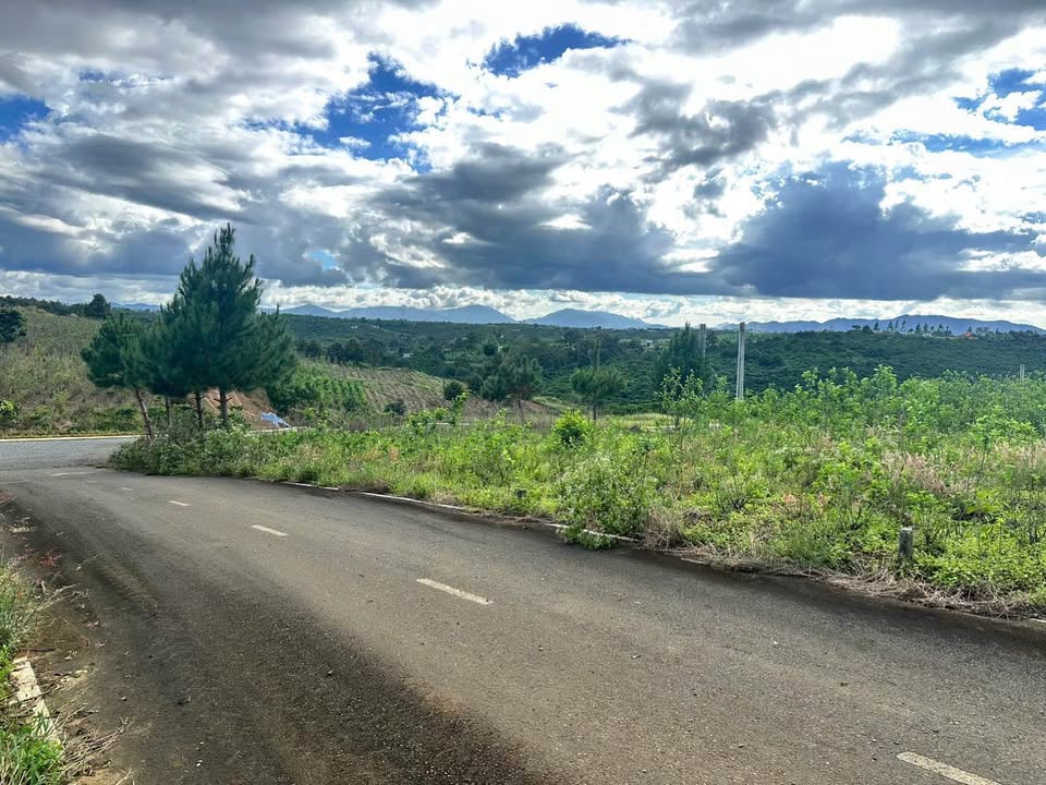 Đất nền Lộc An Bảo Lâm 150m² giá 520 triệu - Đầu tư sinh lời ngay!