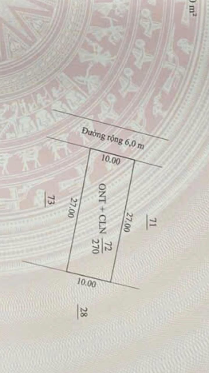 Đất nền chính chủ tại thôn An Lĩnh, Chí Linh, Hải Dương - Diện tích 270m² chỉ 950 triệu!