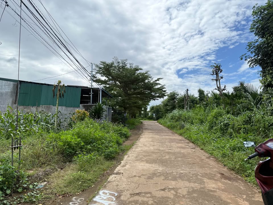 Đất thổ cư Ea Kao 135m² giá 555 triệu - Cơ hội đầu tư hấp dẫn!