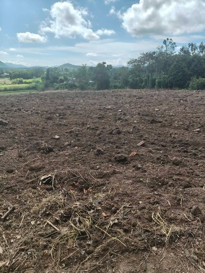 Đất nền 8000m² xã Ea Păn - Tiềm năng đầu tư lớn!