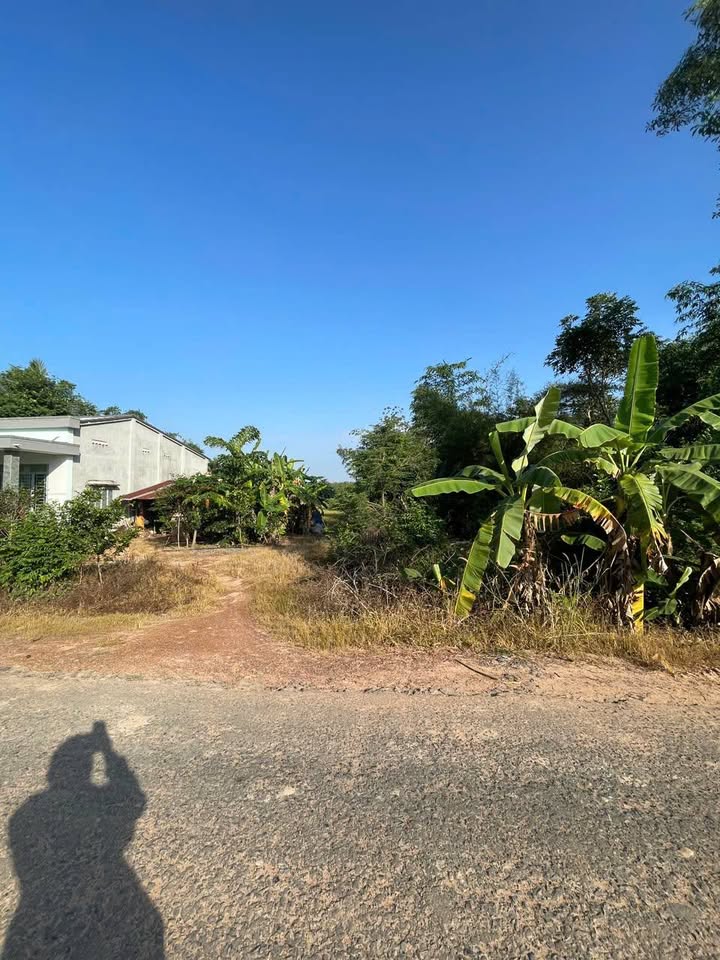 Đất thổ cư 320m² tại Phước Vinh, Châu Thành - Giá chỉ 400 triệu VND!