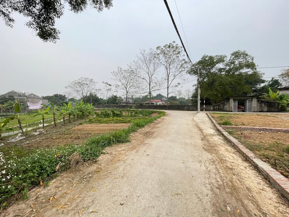 Đất thổ cư Bất Bạt, Ba Vì 200m² giá 1,xx tỷ - Cơ hội đầu tư tuyệt vời!