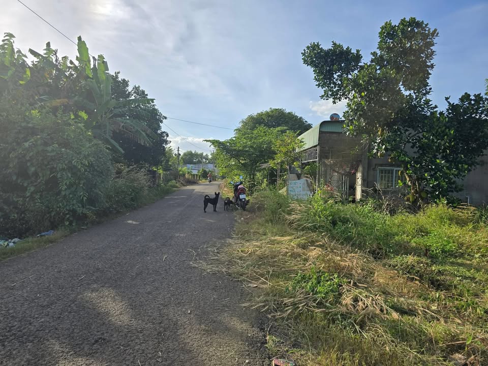 Đất thổ cư 1400m² tại Thiện Hưng, Bù Đốp - Chỉ 370 triệu, sổ đỏ chính chủ!