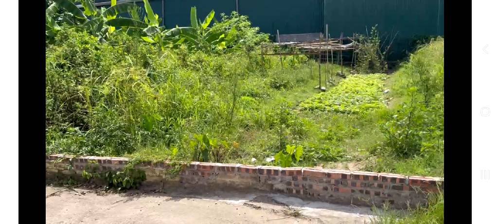 Đất nền Hồng Vân Thường Tín 130m² giá chỉ 40 triệu - Chủ cần bán gấp!