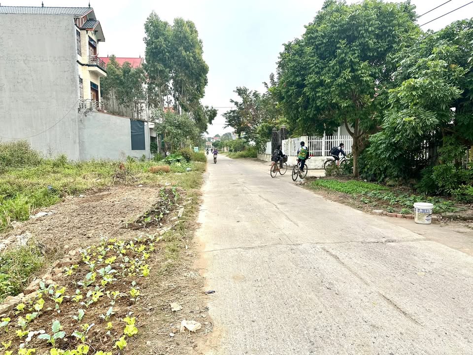 Đất nền Tân An, Yên Dũng 90m² giá 2 tỷ - Kinh doanh ngay!