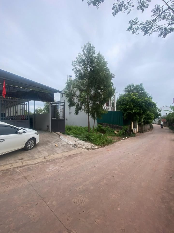 Đất nền chính chủ tại Lạng Giang 100m² giá chỉ 1 tỷ - Đầu tư sinh lời ngay!