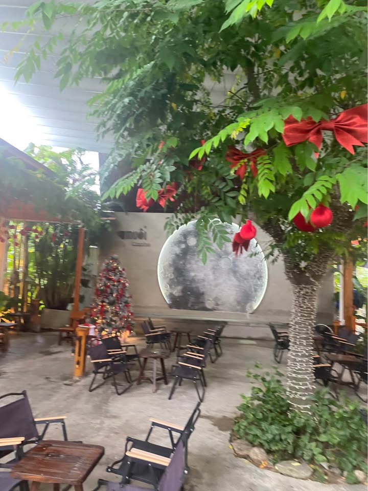 Đất nền KDC 270 Tam Phú 100m² giá chỉ 800 triệu - Cơ hội đầu tư hấp dẫn!