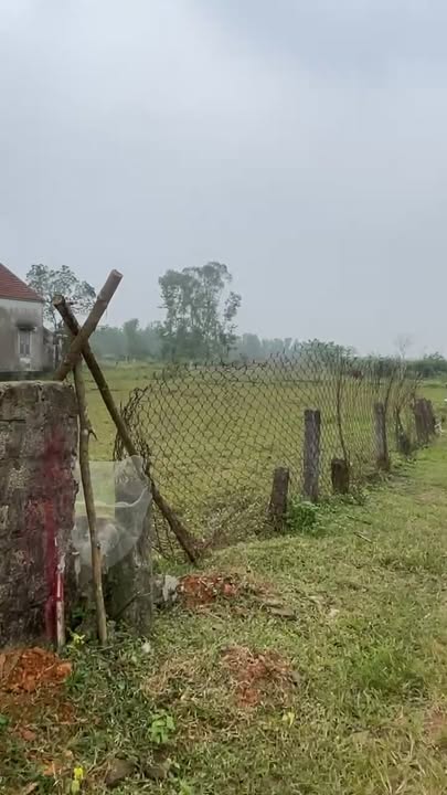 Đất nền Đô Lương 253m² giá 600 triệu - Mặt tiền 11,5m, gần trường học!