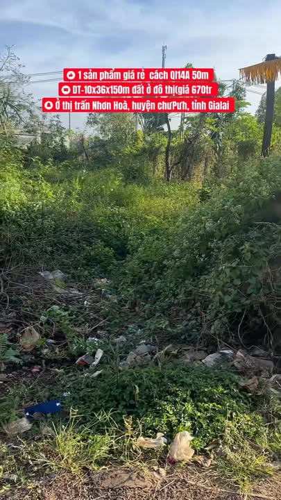 Đất nền Nhơn Hoà, Chư Pưh 3600m² giá 670 triệu - Cơ hội đầu tư hấp dẫn!