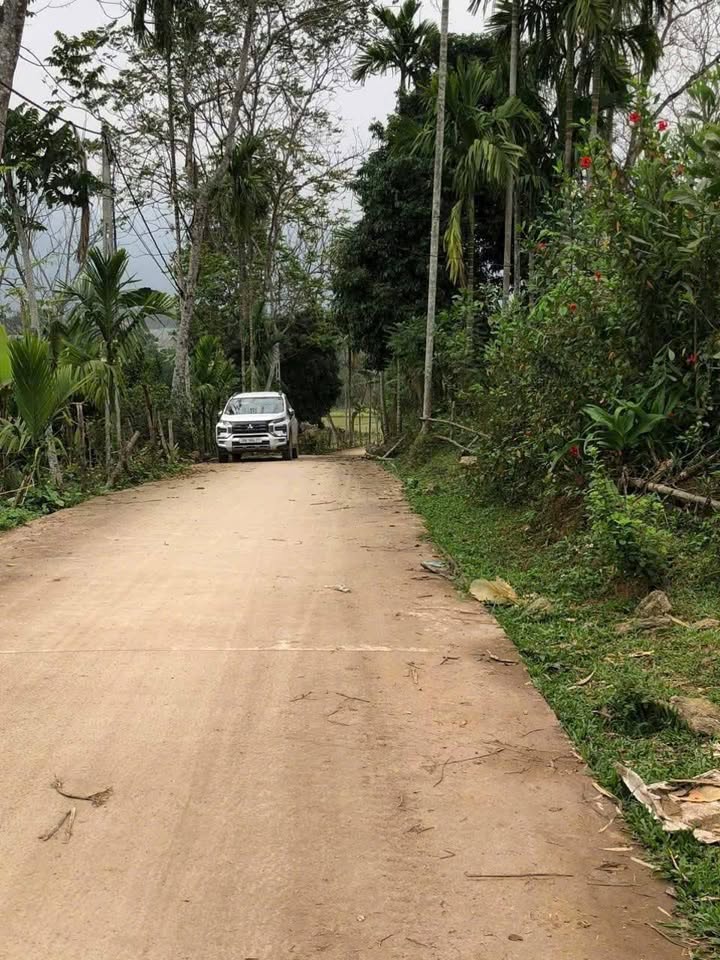 Đất Gia Mỗ, Tân Lạc 1150m² giá chỉ 699 triệu - Sổ hồng chính chủ ngay trong ngày!