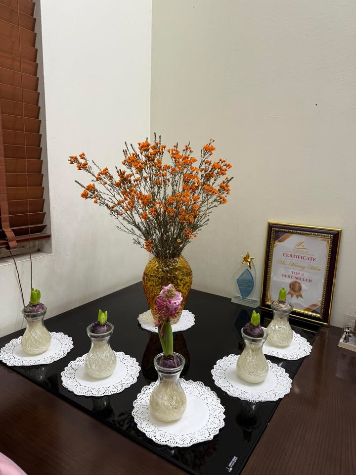 Nhà 3 tầng Vân Tảo, Thường Tín 51.5m² giá 2.99 tỷ - Cơ hội vàng cho đầu tư!