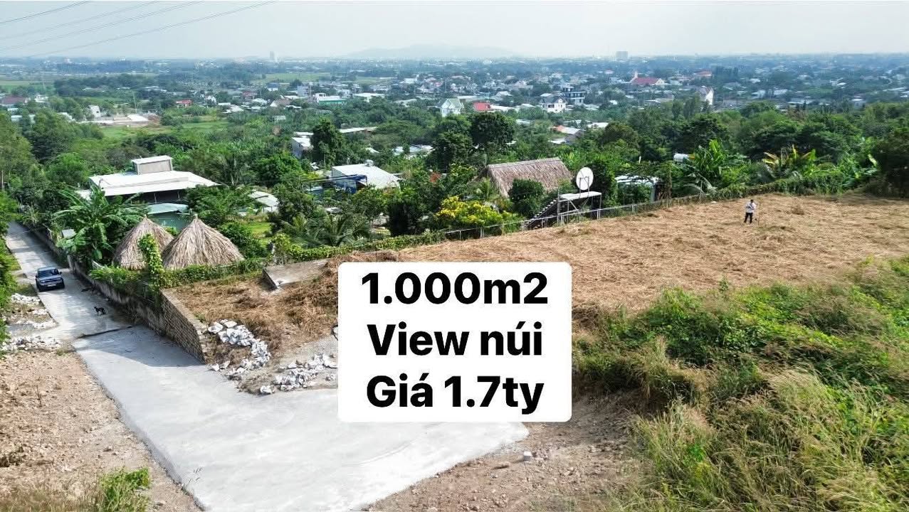 Đất nền 1000m² tại xã Tân Hưng, Bà Rịa - Giá chỉ 1.7 tỷ, đầu tư sinh lời!