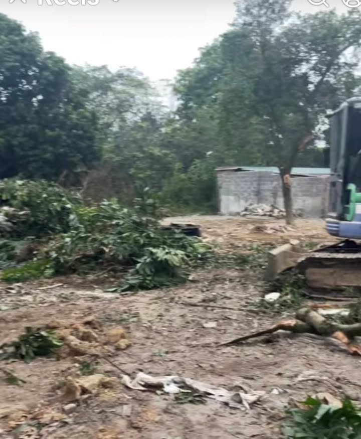 Đất thổ cư 461m² tại Cẩm Lĩnh, Ba Vì - Giá chỉ 1.9 tỷ - Đường ô tô vào tận nơi!