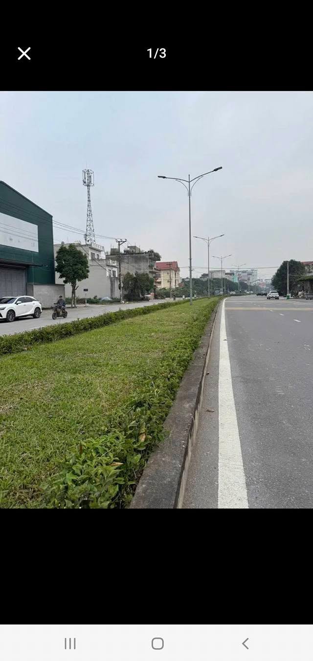 Đất nền mặt đường Lê Thái Tổ Ninh Khánh 324m² - Tiềm năng kinh doanh lớn!