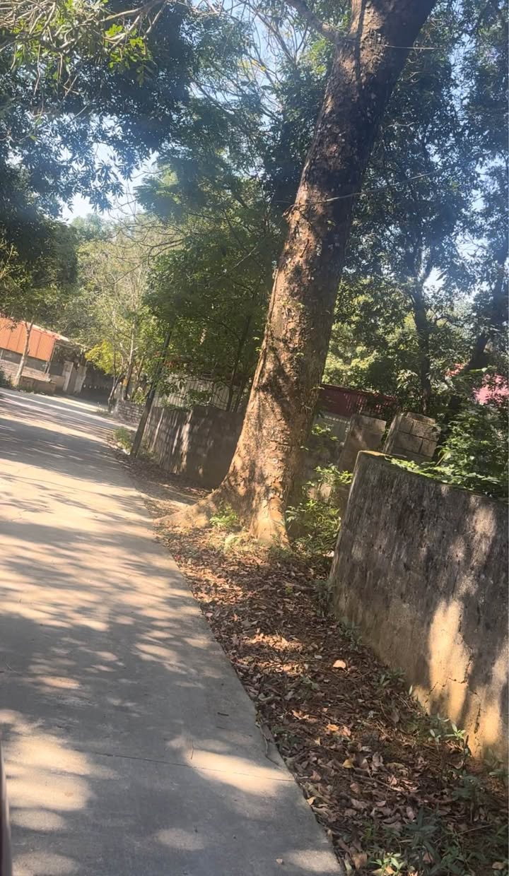 Đất thổ cư Tây Hoa Lư 550m² mặt tiền 16m - Vị trí đắc địa cho kinh doanh!