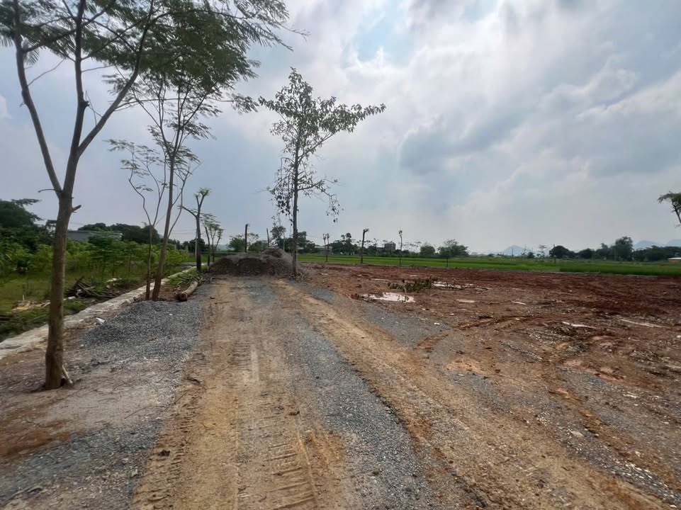 Đất mặt đường Đại Lộ Đông - Tây, Kỳ Phú Nho Quan 10.650m² - Đầu tư sinh lời ngay!