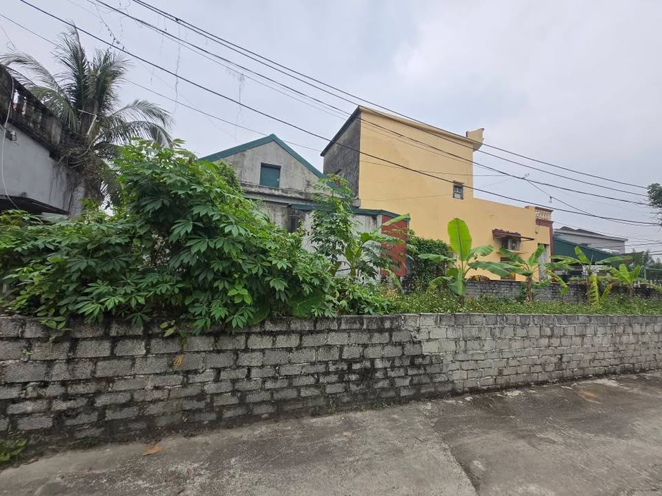 Đất nền Ninh Khang, Hoa Lư 127m² giá chỉ 5xx triệu - Vị trí đắc địa gần Ủy ban!