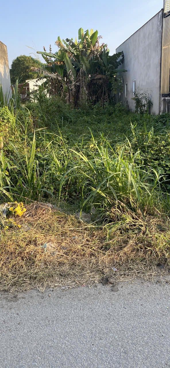 Bán đất Tân Thạnh Đông, Củ Chi 125m² giá 2.8 tỷ - Kinh doanh sầm uất!