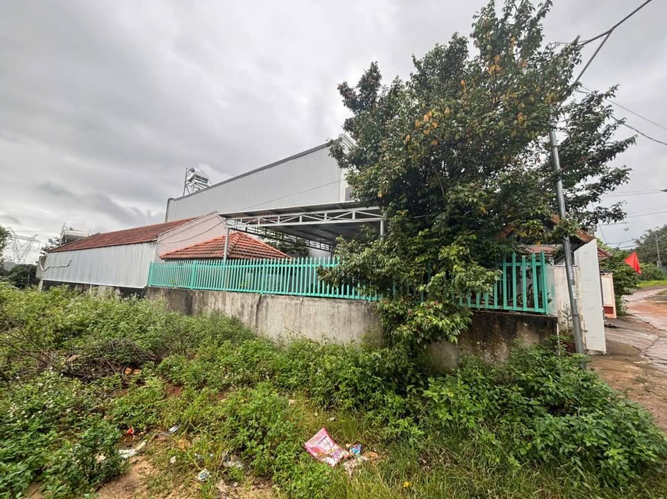 Nhà cấp 4 tại Nghĩa Trung, Gia Nghĩa 208m² giá 2.1 tỷ - Vị trí trung tâm thuận lợi!