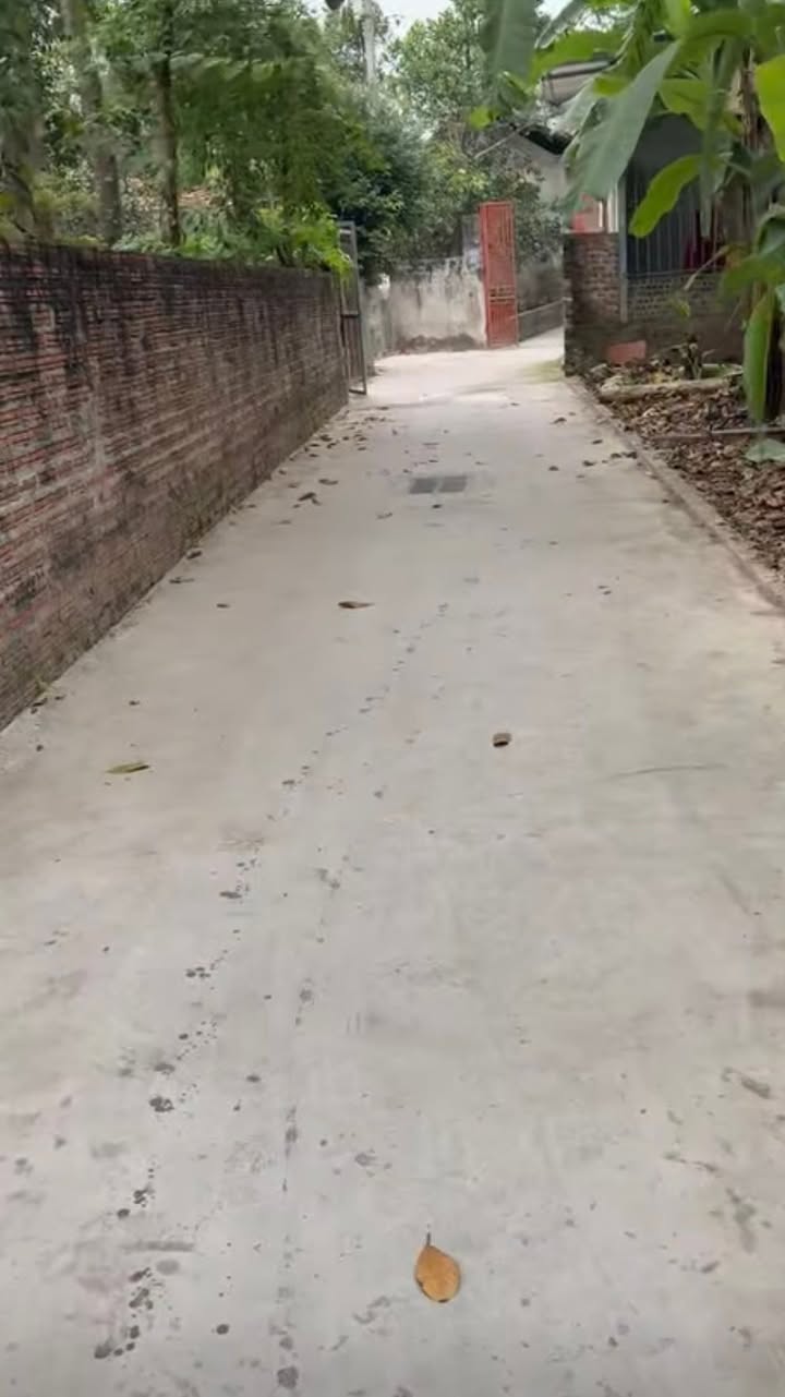 Đất nền Hát Môn 46m² giá 1 tỷ - Cơ hội đầu tư hấp dẫn!