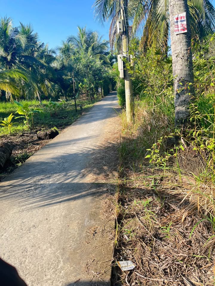 Đất nền Bến Tre 163m² giá chỉ 520 triệu - Đầu tư sinh lời ngay!