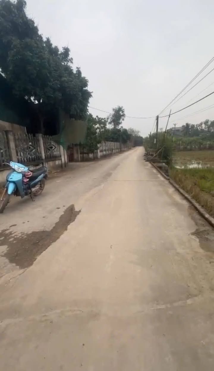 Đất nền Dân Lực, Triệu Sơn 144m² giá 600 triệu - Cơ hội đầu tư hiếm có!