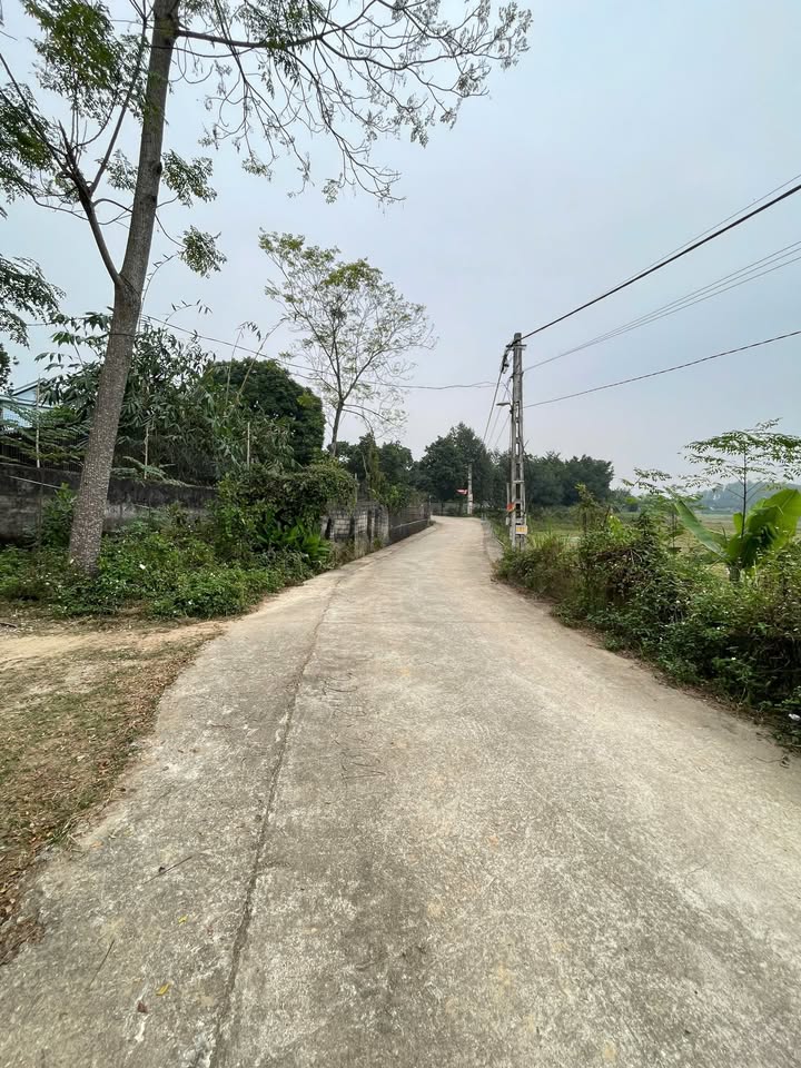 Đất nền thôn Tân An, xã Bất Bạt, 303m² giá 2 tỷ - View núi Ba Vì thoáng mát!