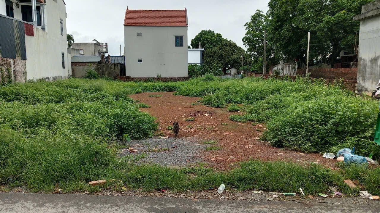 Đất nền Chương Mỹ 651m² giá 14.5 tỷ - Phân lô dễ dàng, gần trường học