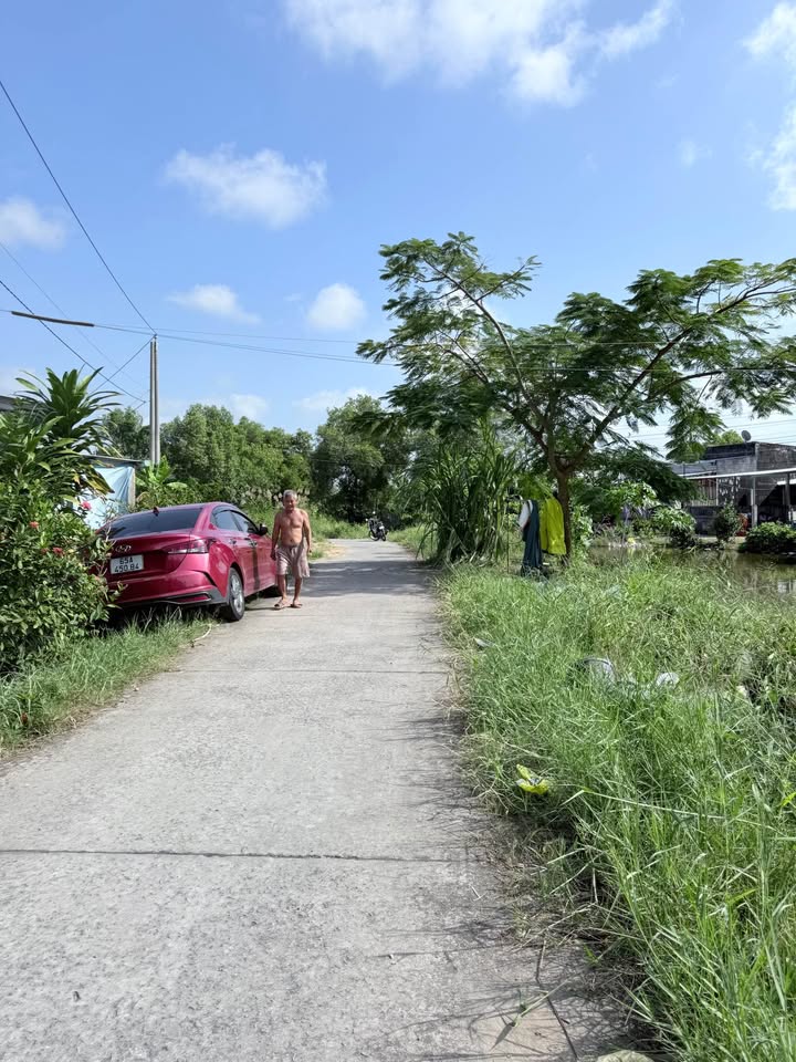 Đất lập vườn Cà Mau 1950m² giá 1.2 tỷ - Tiềm năng phát triển cao!