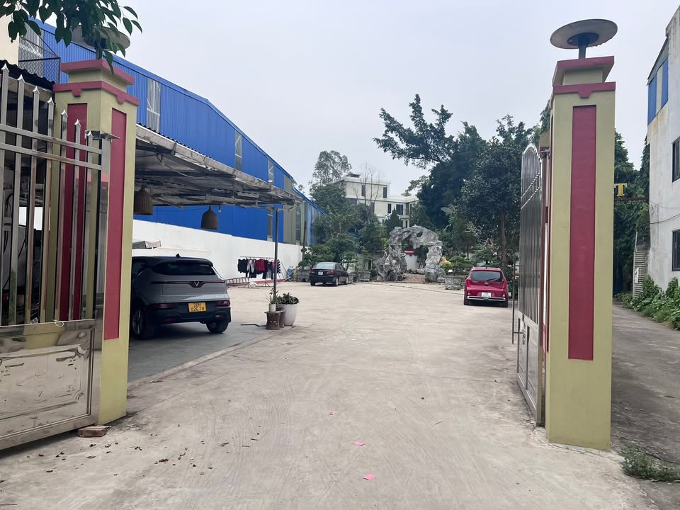 Đất thổ cư 1230m² phường Quan Triều - Pháp lý rõ ràng, thích hợp kinh doanh