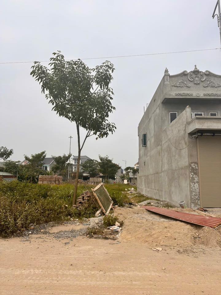 Đất nền Đông Tảo 100m² giá 600 triệu - Không dính hố ga, bốt điện!