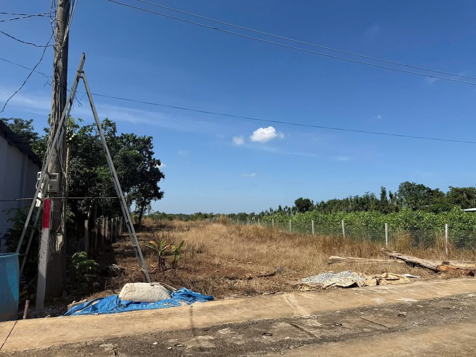 Đất nền Bàu Chinh, Châu Đức 2000m² giá 2 tỷ - Cơ hội đầu tư tuyệt vời!