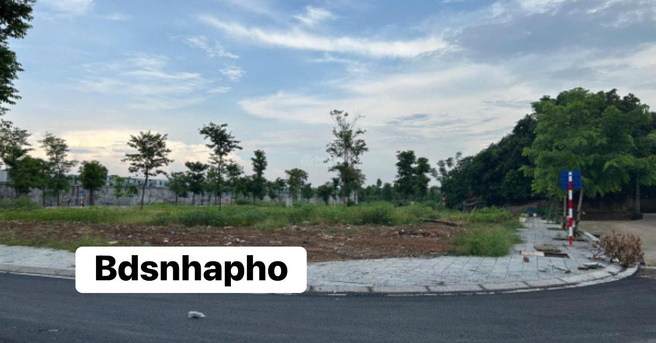 Lô góc cho thuê mặt tiền đường Trần Văn Dư, Đà Nẵng - Diện tích 193m² chỉ 32 triệu