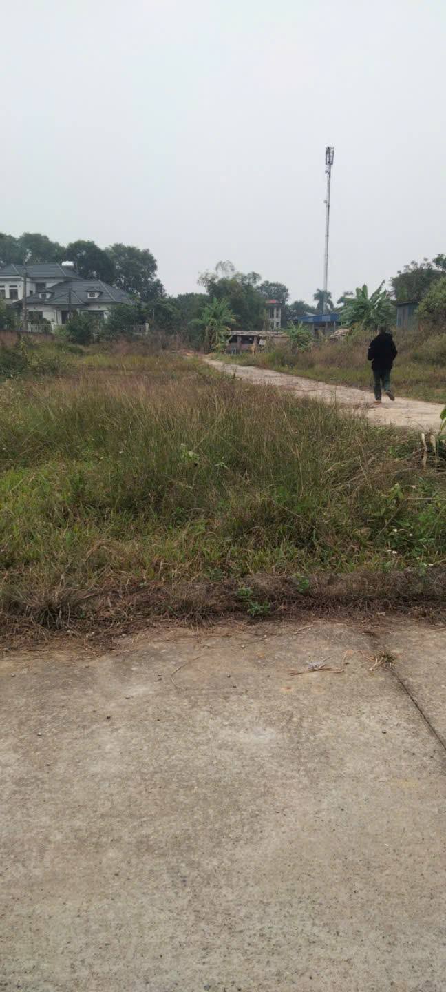 Đất nền Tân Minh, Sóc Sơn 100m² giá 2 tỷ - Tiềm năng sinh lời lớn!