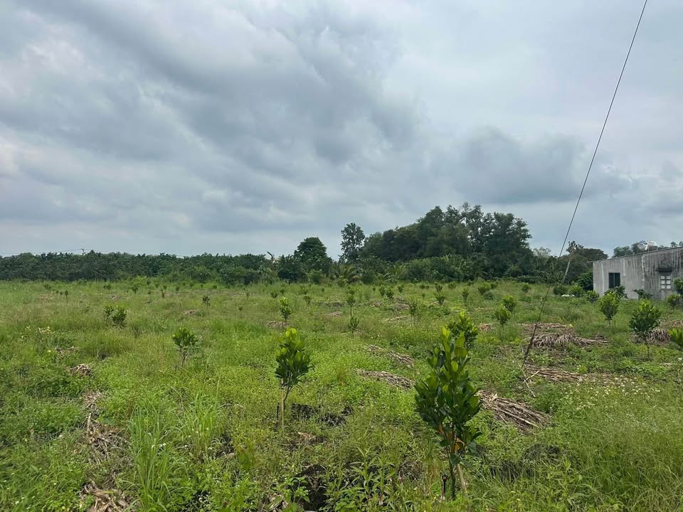 Đất nền 2 sào 1 (2100m²) tại Xã Phú Hòa, Đồng Nai - Giá 1.2 tỷ, thương lượng ngay!