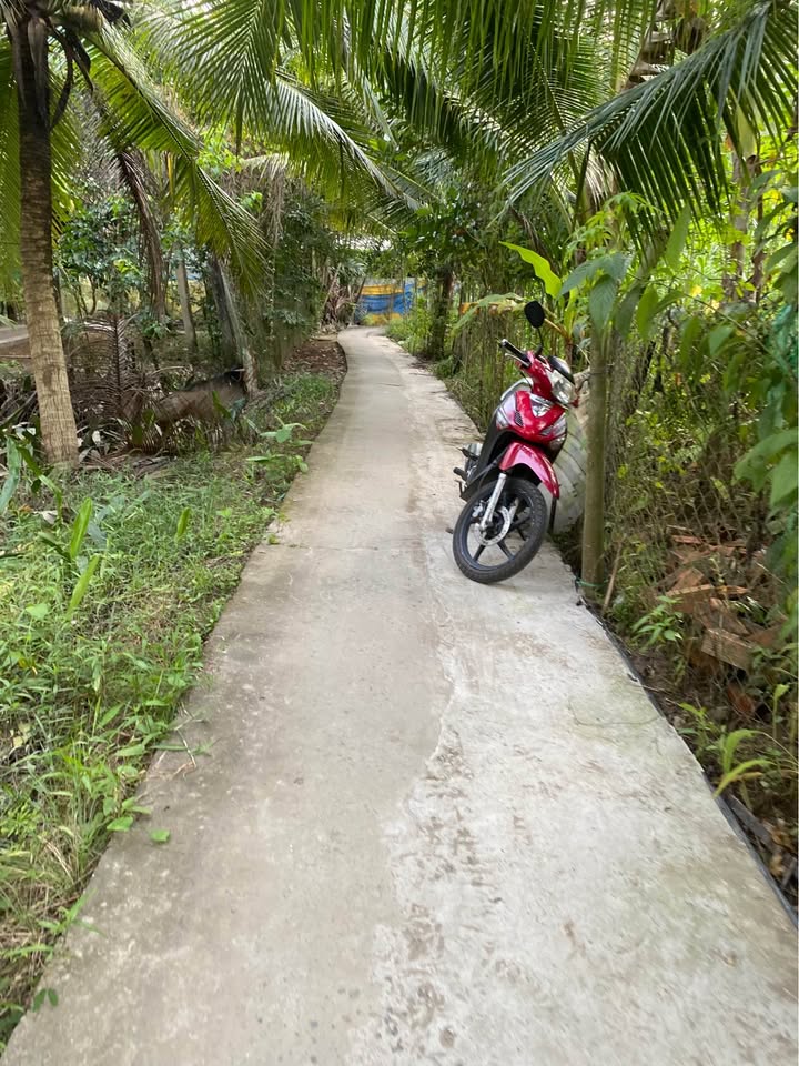 Đất thổ cư 300m² tại Tân Bình, Mỏ Cày Bắc - Giá chỉ 750 triệu!