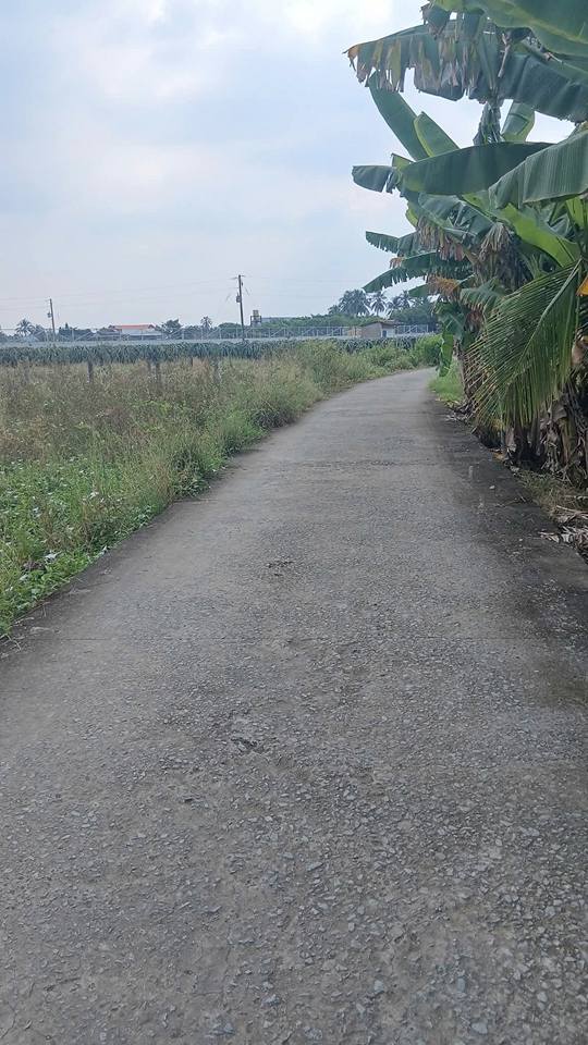 Đất thổ cư 150m² xã Tầm Vu, Châu Thành giá 390 triệu - Đường xe hơi rộng rãi!