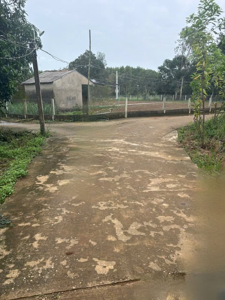 Đất nền lô góc Bình Trị 250m² giá 500 triệu - Cơ hội đầu tư hấp dẫn!