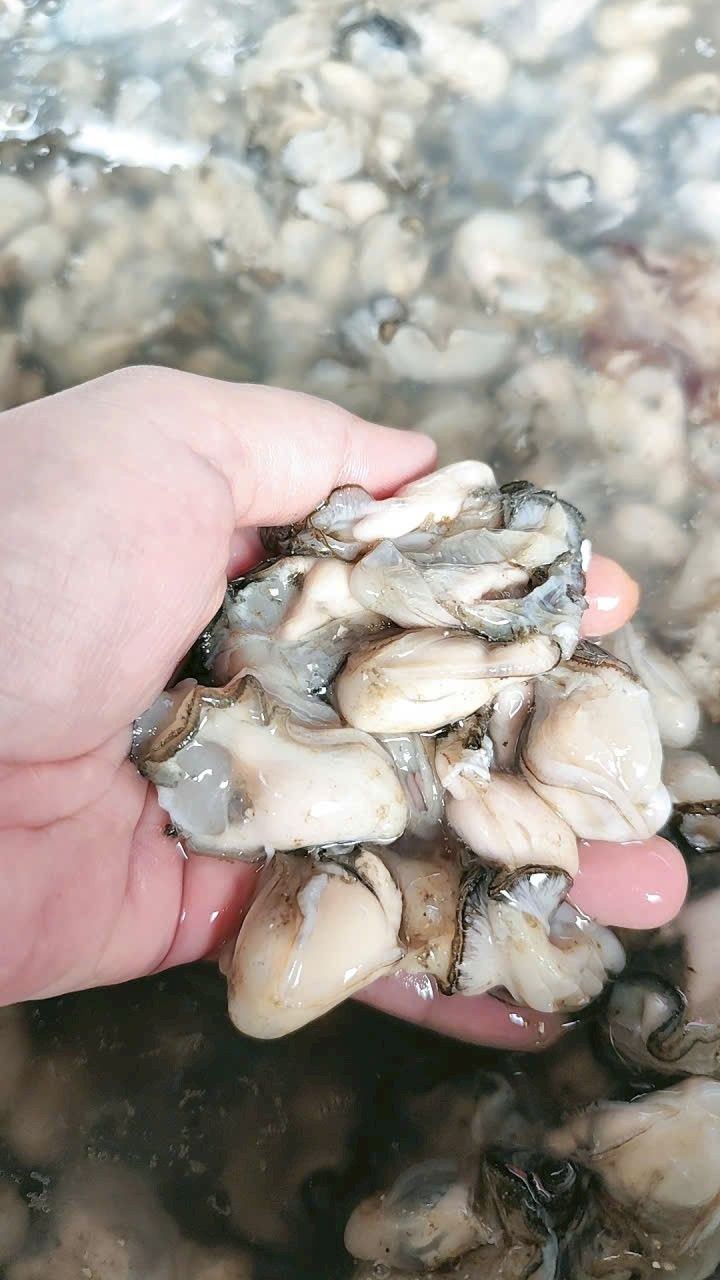 Đất nền Cam Nghĩa, Cam Ranh 210m² giá 2.1 tỷ - Sổ đỏ chính chủ, dọn vào ở ngay!